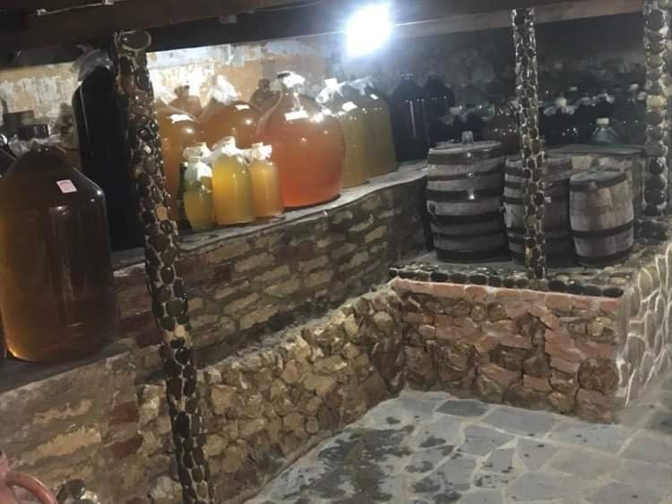 Hostel Saba Kutaisi Esterno foto